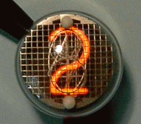 Die IN-4, ein Kopffüßler