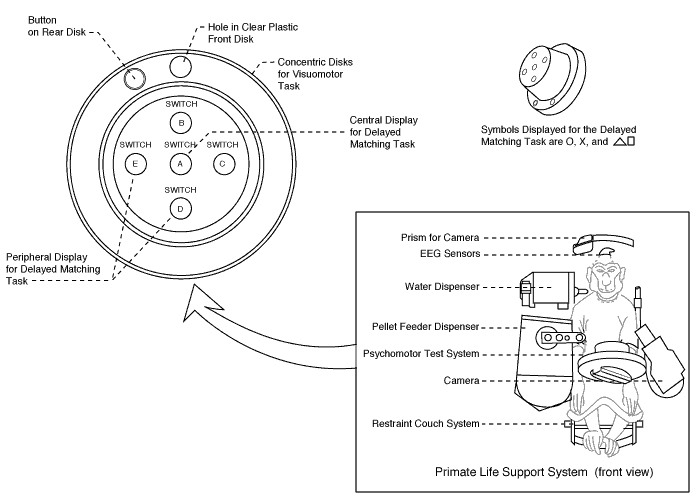 Das Primate Psychomotor Test System