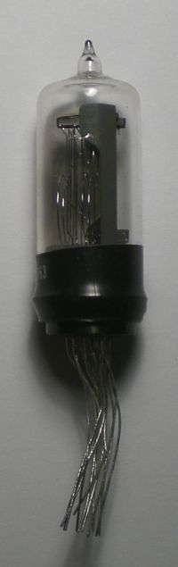 Die CD63 im Ruhezustand