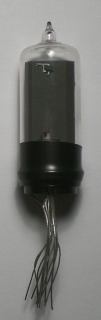 Die CD63 im Ruhezustand