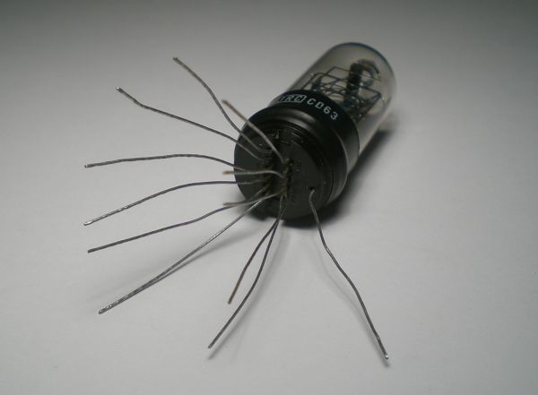 Die CD63 im Ruhezustand