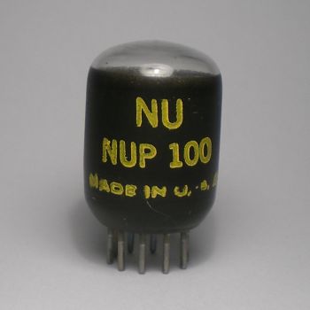 Die NUP100 im Ruhezustand