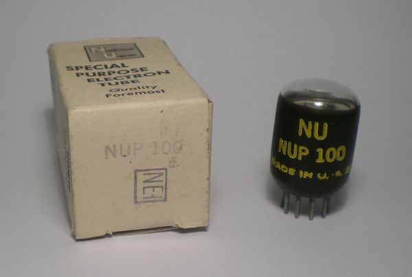 Die NUP100 im Ruhezustand