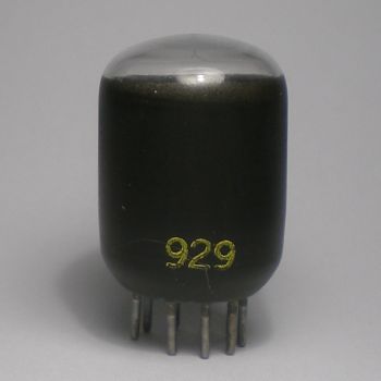 Die NUP100 im Ruhezustand