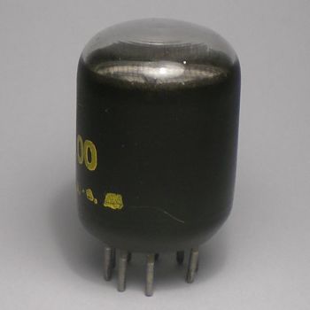 Die NUP100 im Ruhezustand