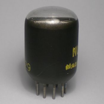 Die NUP100 im Ruhezustand