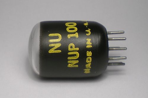 Die NUP100 im Ruhezustand