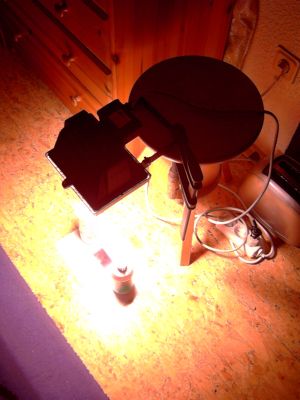 Das Belichten der Platine