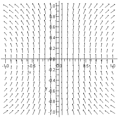 Ein zweidimensionales Vekforfeld